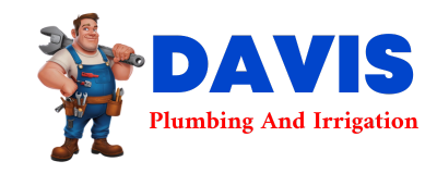 Trusted plumber in SAXTONS RIVER